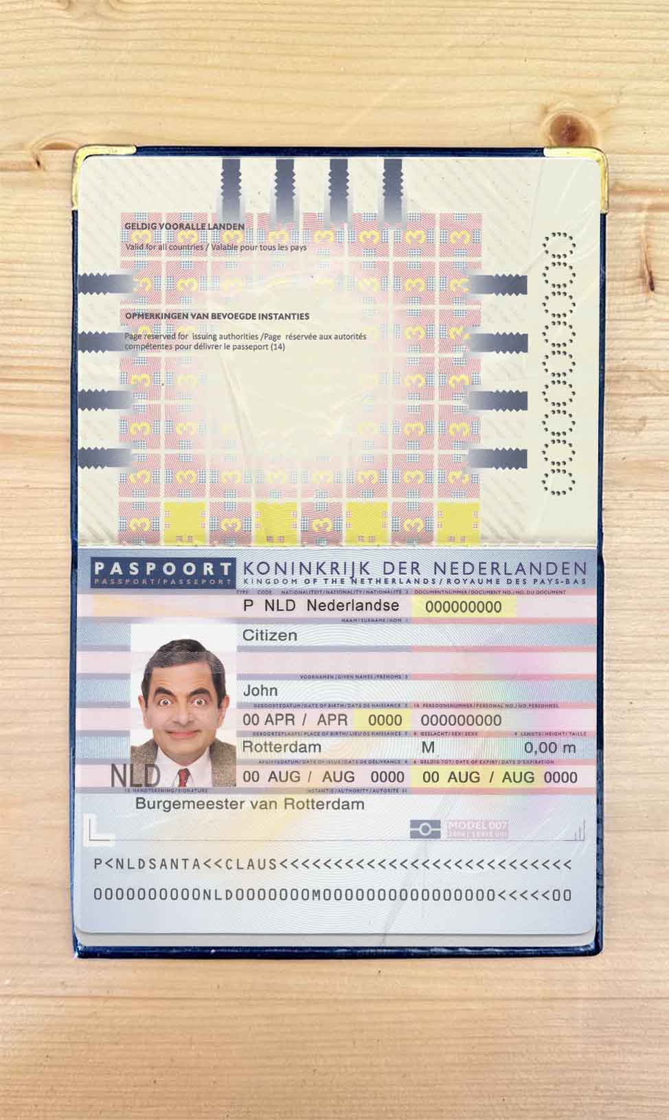 Netherlands (Holland) passport (2006 2016) photo look PSD template